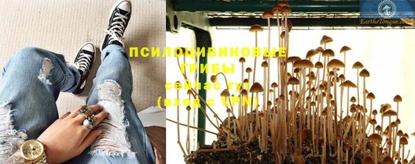 бошки Ладушкин