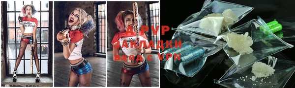 соль ск Лабытнанги