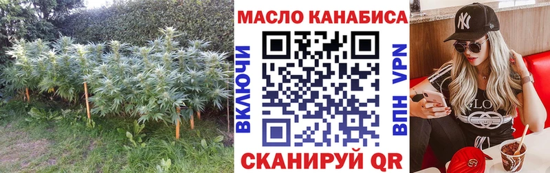 Купить  Новошахтинск  Дистиллят ТГК гашишное масло 